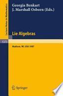 Libro de Lie Algebras, Madison 1987