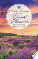 Libro de El Amor Obrando En Sus Grandes Maravillas
