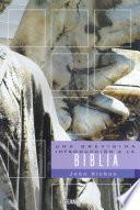 Libro de Una Brevísima Introducción A La Biblia
