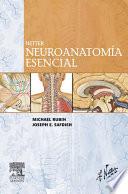 Libro de Netter. Neuroanatomía Esencial
