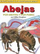 Libro de Abejas, Por Dentro Y Por Fuera