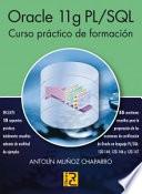 Libro de Oracle 11g Pl/sql : Curso Práctico De Formación