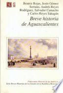 Libro de Breve Historia De Aguascalientes