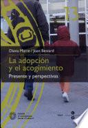 Libro de La Adopción Y El Acogimiento