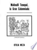 Libro de Malinalli Tenepal