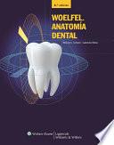Libro de Woelfel. Anatomia Dental