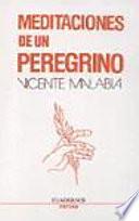 Libro de Meditaciones De Un Peregrino