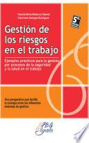 Libro de Gestión De Los Riegos En El Trabajo