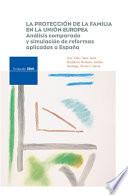 Libro de La Protección De La Familia En La Unión Europea