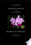 Libro de Orchideen Am Mittag
