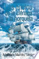 Libro de Los Juicios De La Ciénaga Y La Horqueta
