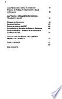 Libro de Los Mineros De Cananea