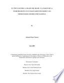 Libro de El Vinculo Entre La Imagen Del Brasil Y La Imagen De La Mujer Brasilena En El Imaginario Extranjero Y Los Proyectos De Construccion Nacional