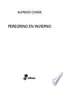Libro de Peregrino En Invierno