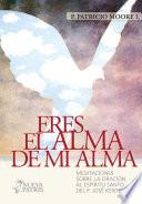 Libro de Eres El Alma De Mi Alma