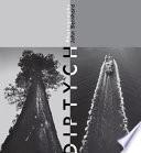 Libro de Diptych