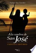 Libro de A La Sombra De San José