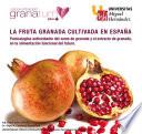 Libro de La Fruta Granada Cultivada En España Punicalagina Antioxidante Del Zumo De Granada Y El Extracto De Granada En La Alimentación Funcional Del Futuro
