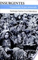 Libro de Insurgentes