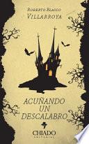Libro de Acuñando Un Descalabro