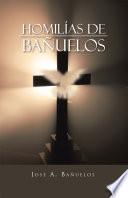 Libro de Homilias De Banuelos
