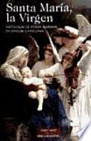 Libro de Santa María, La Virgen