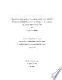 Libro de Miradas Transatlanticas Del Rebelde: Una Reinterpretacion De Lope De Aguirre A Traves De Las Cronicas Y De La Novela Del Exilio De Ramon J. Sender