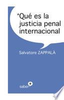 Libro de Qué Es La Justicia Penal Internacional