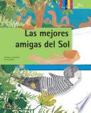 Libro de Las Mejores Amigas Del Sol. Plantas: La Condición De Las Plantas