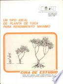 Libro de Um Tipo Ideal De Planta De Yuca Para Rendimiento Maximo
