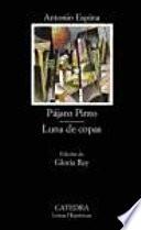 Libro de Pájaro Pinto