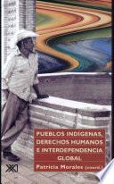 Libro de Pueblos Indígenas, Derechos Humanos E Interdependencia Global