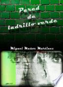 Libro de Pared De Ladrillo Verde