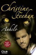 Libro de Anhelo