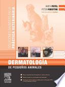 Libro de Dermatología De Pequeños Animales
