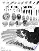 Libro de El Pájaro Y Su Nido