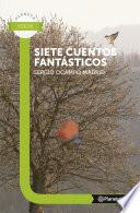Libro de Siete Cuentos Fantasticos