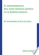 Libro de El Amancebamiento. Una Visión Histórico Jurídica En La Castilla Moderna