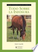 Libro de Todo Sobre La Infosura