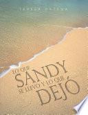 Libro de Lo Que Sandy Se Llevó Y Lo Que Dejó