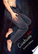 Libro de Cicatrices. Abiertas (serie Cicatrices 1.2)