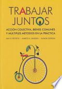 Libro de Trabajar Juntos: Accin Colectiva, Bienes Comunes Y Multiples Metodos En La Practica = Work Together