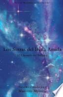 Libro de Los Sutras Del Buda Amida