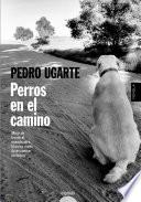 Libro de Perros En El Camino
