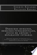 Libro de Derechos Humanos, Derechos Fundamentales, Juicio De Amparo Y Reparación Integral