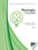 Libro de Bioenergía: Fuentes, Conversión Y Sustentabilidad