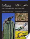 Libro de Amphibians And Reptiles Of The Us Mexico Border States