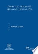 Libro de Garantías, Principios Y Reglas Del Proceso Civil