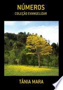 Libro de NÚmeros