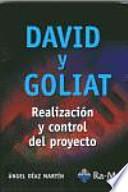 Libro de David Y Goliat. Realización Y Control Del Proyecto